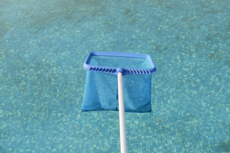 brailer in clear pool surfaceの写真素材