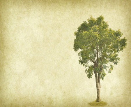 Tree with old grunge antique paperの写真素材