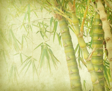 bamboo on old grunge paper texture backgroundの写真素材