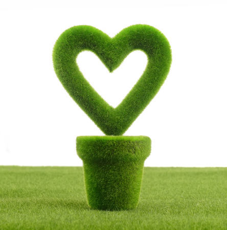 Heart shaped plant in a potの写真素材