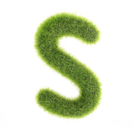 grass letter isolated on white backgroundの写真素材