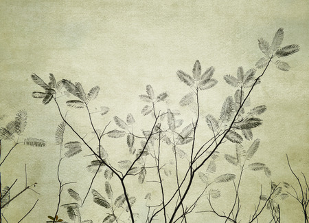 tree with old grunge antique paper textureの写真素材