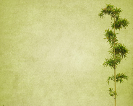 bamboo on old grunge paper texture backgroundの写真素材