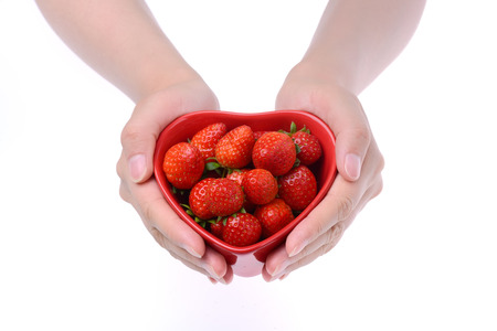 strawberry lie in female handsの写真素材