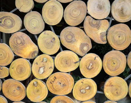 pile of wood