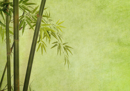bamboo on old grunge paper texture backgroundの写真素材