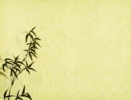 bamboo on old grunge paper texture backgroundの写真素材