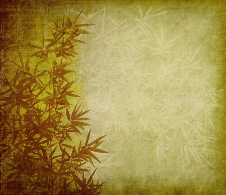 bamboo on old grunge paper texture backgroundの写真素材