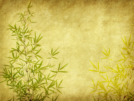 Old antique vintage paper backgroundの写真素材
