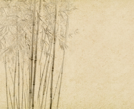 bamboo on old grunge paper texture backgroundの写真素材