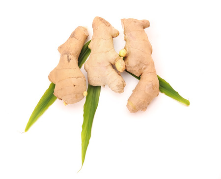collection of fresh ginger rootの写真素材
