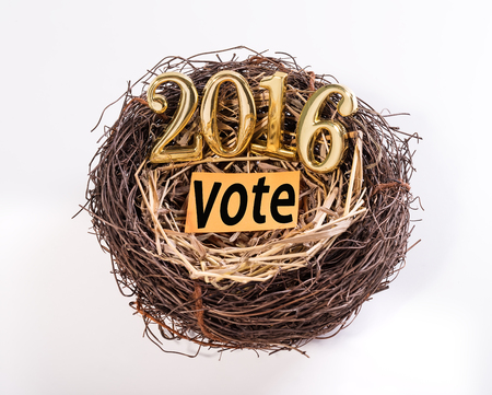 New born 2016 with vote paper on nest