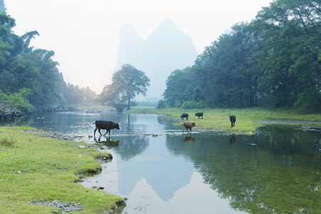 landscape in GuangXi, Chinaの写真素材