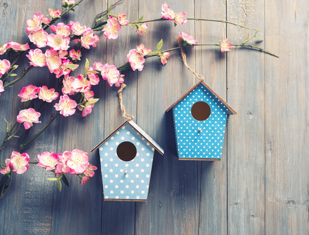 two birdhouses hang on spring flower tree  with antique rustic wood background.の写真素材