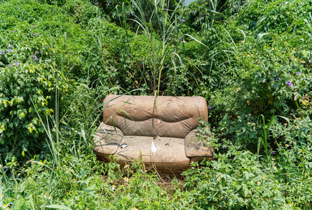 sofa abandoned in the grassの写真素材