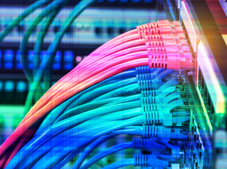 network cables connected in network switches
