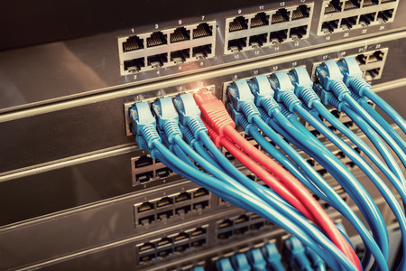 network cables connected to a switchの写真素材