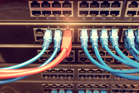 network cables connected to a switch