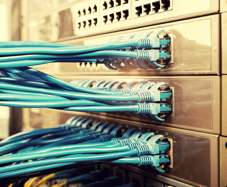 network cables connected to a switch