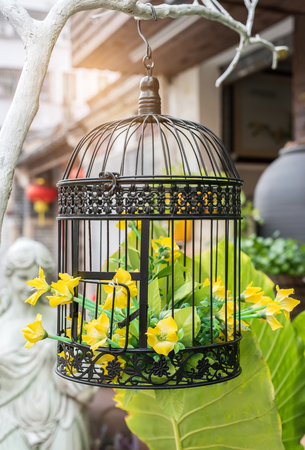 Bird cage with flowers in it.の写真素材