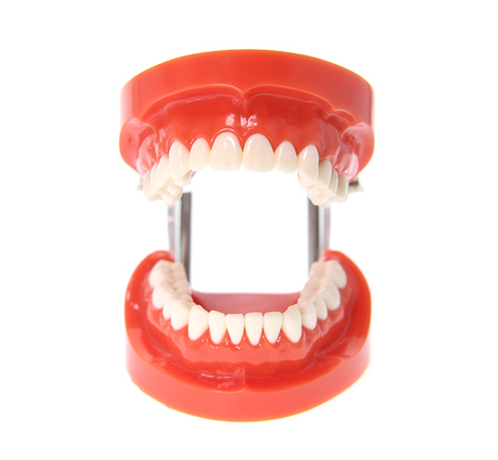 Teeth or dentures isolated on white.