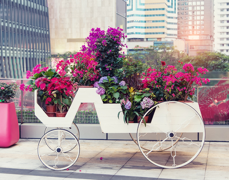 carriage with summer flowers in itの写真素材