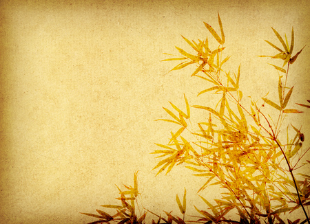 bamboo on old grunge paper texture backgroundの写真素材