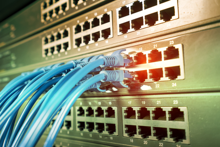 Information Technology Computer Network, Telecommunication Cables Connected to Internet Switch.