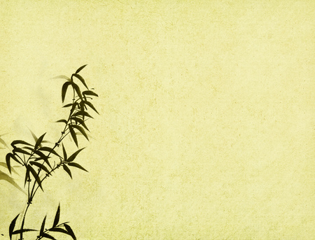 Bamboo painting on old grunge paper textured backgroundの写真素材