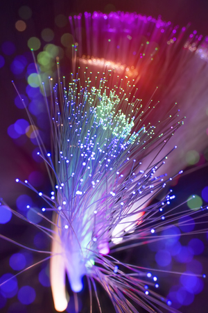 fiber optical network cableの写真素材