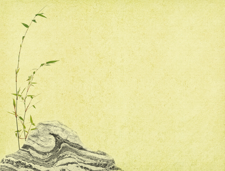 bamboo on old grunge paper texture backgroundの写真素材