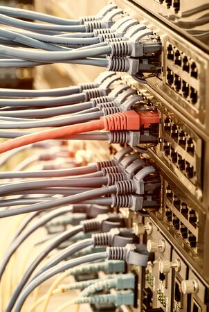 Server rack with blue and red internet patch cord cables connected to black patch panel in data...