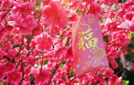 chinese red bag money in chinese new year, chinese wording & seal mean: good blessの写真素材