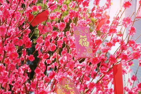 chinese red bag money in chinese new year, chinese wording & seal mean: good blessの写真素材