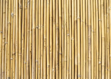 fence made of bamboo sticksの写真素材