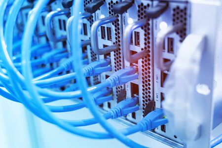 network cable connecting on network core switch close upの写真素材