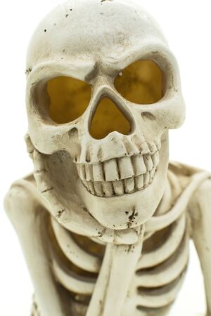 skull sitting and thinking isolated on white backgroundの写真素材