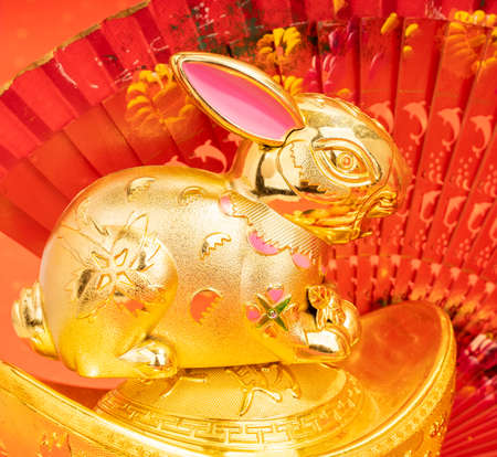 greeting for Chinese Rabbit New Year,Chinese calligraphy Translation:good bless for new yearの写真素材