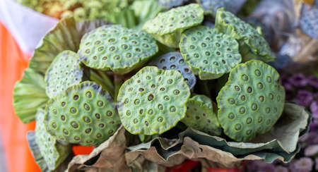 Bunch of Lotus for sale at the street market