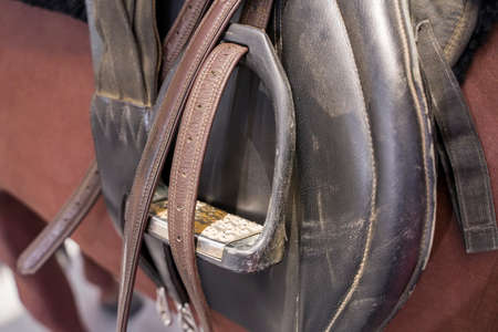 Saddle with stirrups on a back of a horseの写真素材