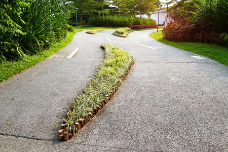 path leading through a garden