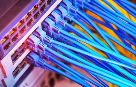 network cable connecting on network core switch close up