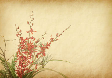 old paper background with purple orchid.の写真素材