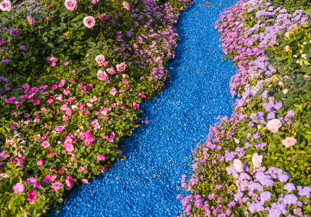 path leading through a flower gardenの写真素材