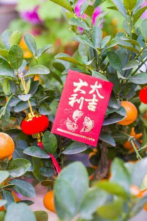 Lucky knot hanging on Tangerines for Chinese new year greeting,Chinese character means good bless...