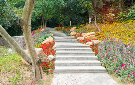 Pathway winding in garden with flowers