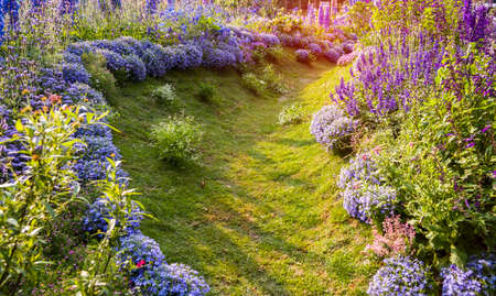 path leading through a flower garden with delphinium high inflorescences violet flowers.の写真素材