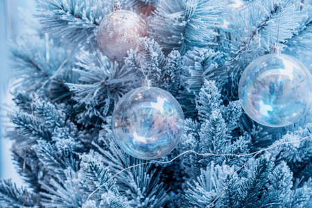 Christmas decoration balls hanging on Christmas tree.