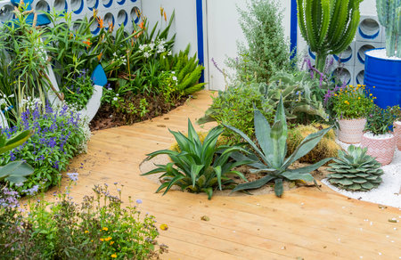 Sharp pointed agave plant leaves in garden
