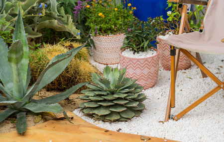 Sharp pointed agave plant leaves in gardenの写真素材